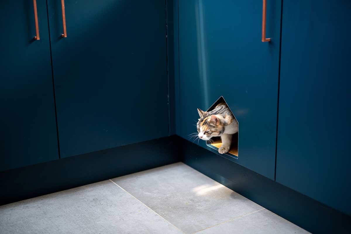 vario velux modular rooflight