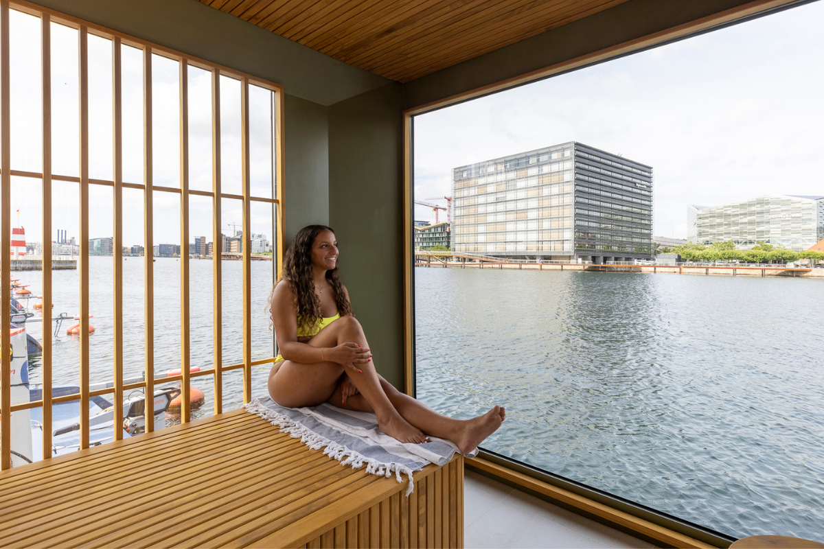 Seanics-vario-by-velux