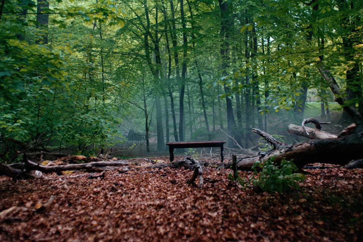 vario by velux sustainability